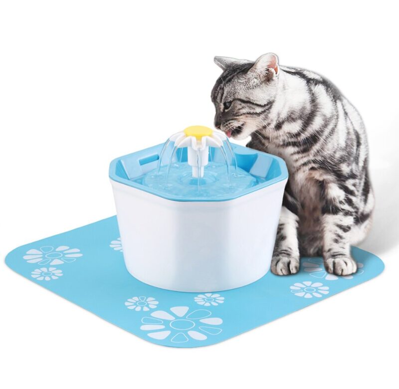 Fontánka pro kočky / fontána pro psy (1)